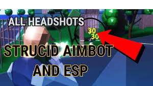 This script is by far the best script out for strucid, with its aimbot and god mode features. Strucid Aimbot Aimbot Mm2 Roblox Page 1 Line 17qq Com Free Working Aimbot Strucid Hackscript Aimbot Vreef