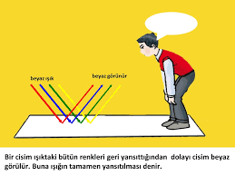 Ampuller ışık rengine göre genel itibariyle iki farklı sınıfta değerlendirilir. Cisimleri Renkli Nasil Goruruz Ppt Indir