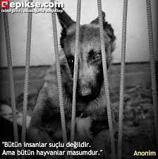 epikse hayvanlar kitap alintilari film