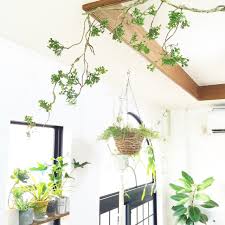 いなざうるす屋の雑貨感覚で飾れるフェイクグリーン 観賞植物 緑の壁 観葉植物 吊るす