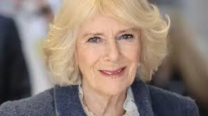 Princess Diana once confronted Camilla over Charles and 'all hell broke  loose'