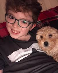 Guess What, I got a dog today 👍She's Awesome, Now what to name her, all  suggestions welcome!!! ⭐️