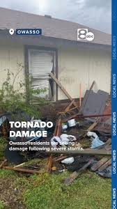 Image result for Pearsonia