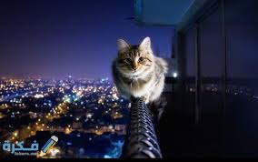 تعتبر الخلفيات من الاشياء المهمة التي يحتاجها كل مستعملي الحاسوب يوميا وتبقى من ولذلك وفي هدا الموضوع ان شاء الله ساطرح لكم اكثر من مائة خلفية رائعة تستطيع مساعدتكم في اموركم وتغدية حاجاتكم فهده. ØµÙˆØ± Ø®Ù„ÙÙŠØ§Øª Ù„Ø§Ø¨ØªÙˆØ¨ Ø¹Ø§Ù„ÙŠØ© Ø§Ù„Ø¯Ù‚Ø© Hd 2021 Ù…ÙˆÙ‚Ø¹ ÙÙƒØ±Ø©