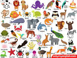 These animals cannot digest meat. Animals Name In English Types Of Animals And Pictures Onlymyenglish