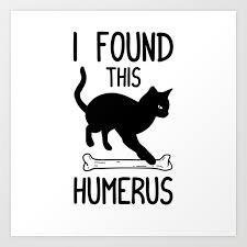 That sat fat flat add ad. I Found This Humerus T Shirt Cat Pun Funny Cats Art Print By Born Design Society6