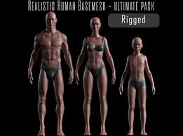 The armature layers are visualized. 3d Model Realistic Human Body Basemesh Uvmapped Rigged