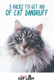Dandruff can be difficult to get rid of. Pin On Pet Care
