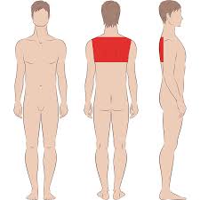 In general, they range in price from $150 to $450. Male Upper Back Laser Hair Removal Indy Laser