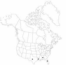 Image result for Oxycaryum