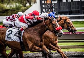 We pour through the data so you don't have to. How To Elevate Your Bets With Gulfstream Park Picks Everything Horse