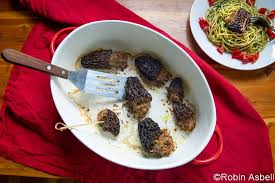 Stalking The Wild Morel For Stuffed Morels Chef And Author Robin Asbell
