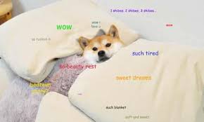 What's with dogecoin and the dog? What Is Doge Internet The Guardian