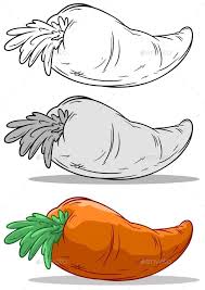 Black And White Cartoon Picture Of Orange Cartoon Cool Black And White Orange Big Carrot On White Background Vector Set Vector Black And White Graphic Illustration