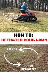 If you have a small lawn, this can be achieved with a manual dethatching rake. Dad S Lawn Dethatcher Tips And Tricks Best Lawn Series 1 Four Generations One Roof