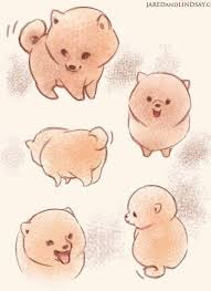 Drawing the head and tail step 5: Fluffy Dog Drawing Flauschige Hundezeichnung 09 16 2019 Cute Dog Drawing Kawaii Drawings Dog Drawing