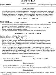 sample professional resume patent