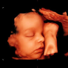 Catherine and Aaron Compton's Baby Registry at Babylist