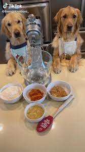 Home Made Dog Biscuits Video In 2020 Dog Food Recipes Homemade Dog Food Dog Biscuits Homemade