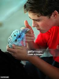 209 Buena Park High School Stock Photos, High-Res Pictures, and Images