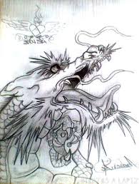 Á Dibujos De Dragones Top Grandes Dragones Animados Este dibujo fue una tarea que me dejaron de dibujar un rostro a lapiz y esto es lo mas realista que quise hacer ya que me dio flojera hacer algo serio :v. á dibujos de dragones top grandes