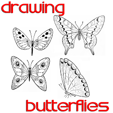 How to draw easy butterfly step by step very easy 10 doodle butterflies drawing welcome to k art and craft. Butterfly Drawing Easy Methods How To Draw Butterflies Step By Step How To Draw Step By Step Drawing Tutorials