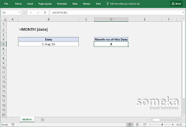 How To Use Excel Month Function Formula And Video Examples Excel Function Excel Formula