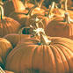 2025 Fall Festival Children Ticket Purchase (Extra event image