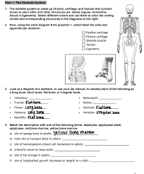 Because of the jokes like changing hair colour that you can't notice. Part 1 The Skeletal System 1 The Skeletal System Chegg Com