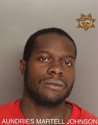 20 arrests made after BCSO operation targeting several neighborhoods