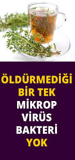 Hastane Yolunu Unutmak Isteyenler Okusun Health Tips Stay Young Natural Medicine