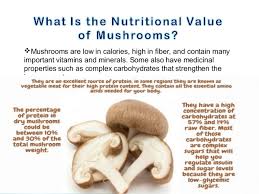Cultivating fungi can yield food, medicine, construction materials and other products. Mushroom Cultivation