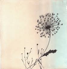 dandelion drawing google search resim kol dovmesi karahindiba