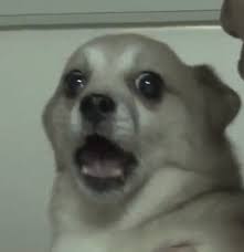 올해 서른살된 연예인중에 제일 충격인 사람.jpg - 악플달면 쩌리쩌려버려 - ＊여성시대＊ 차분한 20대들의 알흠다운 공간