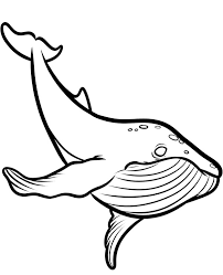 If your child enjoyed coloring our free printable jonah and the whale coloring pages for preschoolers, then please leave a comment below. Simple Whale Coloring Page To Print Topcoloringpages Net