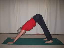 Explore 300+ workouts to reach your goals. Yoga For Weight Loss For Female Beginners At Home