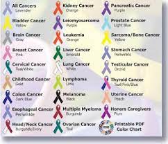 The purple ribbon is most commonly used to raise awareness for animal. Here Is An Awesome List Of Colors For Awareness Ribbons Keep In Mind That These Colors May Also Represe Cancer Colors Cancer Ribbon Tattoos Chemo Care Package