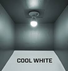Color temperature is measured by kelvin (k) and can be found on the. Warm White Or Cool White Which White Should You Choose