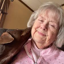 Introduction and photo of miniature dachshund