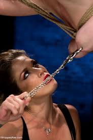 Best Free Porn Selection