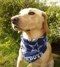 Dallas Cowboys S Or Xs Dog Bandana With Velcro By Ericaburris 8 00 Dog Bandana Dogs Furry Friend