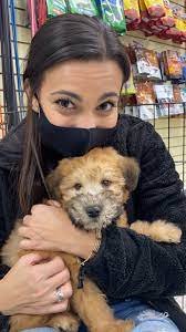 I have all papers saying what my vet treated it for. Legislators Consider Proposal To End Pet Sales In Ny Stores