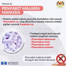  bahagian kawalan penyajit perjangkit  kawalan mutu makanan. Kkmalaysia On Twitter Sempena Sambutan Hari Malaria Yang Akan Disambut Pada 25 April 2021 Bahagian Kawalan Penyakit Kkm Menyediakan Trivia Mengenai Penyakit Ini Untuk Pengetahuan Bersama Jom Ambil Tahu Mengenai Trivia Pertama