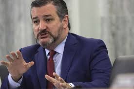 Ted cruz without a mask on a flight over the weekend — prompting american airlines to review the matter. Seth Rogen Tells Texas Sen Ted Cruz To Get F Ked In Twitter Feud