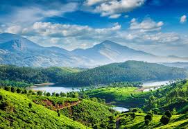 Munnar Hills