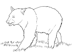 Whitepages is a residential phone book you can use to look up individuals. Free Printable Bear Coloring Pages For Kids