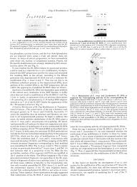 All that is required is the installation of a small 1/8 watt 120k resistor between two points on the. Https Www Jbc Org Article S0021 9258 18 90393 5 Pdf