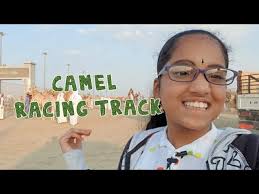 Watching a camel race is a completely different horse racing experience, with a 10km track. Al Shahaniya Racetrack Doha Destimap Destinations On Map