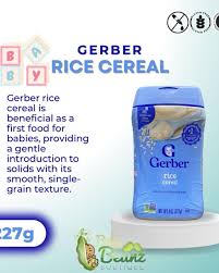 Cereal, 2nd Foods®, Oatmeal Lentil Peach & Apple, 8 oz (227 g) Supports  Healthy Digestion Probiotic B. Lactis** 60% DV Iron for Learning Ability  Kosher Dairy Grow with Love Package Made with