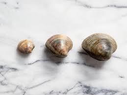 A Guide To Clam Types And What To Do With Them Serious Eats